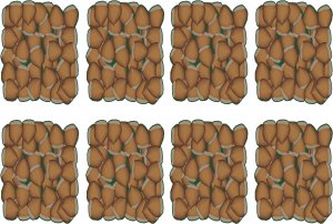 Nuts Wall Decal Pattern Assortment Packs