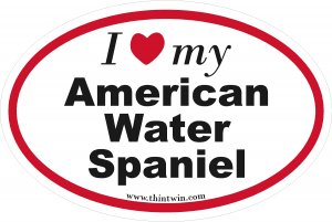 American Water Spaniel Oval Car Sticker