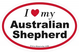 Australian Shepherd Oval Car Sticker