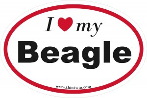 Beagle Oval Car Sticker