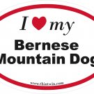 Bermese Mountain Dog Oval Car Sticker