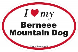 Bermese Mountain Dog Oval Car Sticker