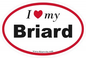 Briard Oval Car Sticker