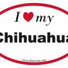 Chihuahua Oval Car Sticker