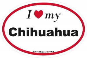 Chihuahua Oval Car Sticker