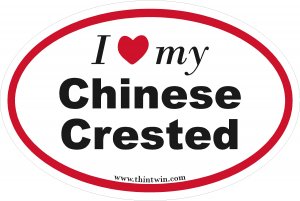 Chinese Crested Oval Car Sticker