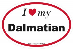 Dalmatian Oval Car Sticker