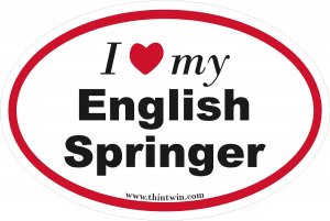 English Springer Oval Car Sticker