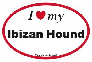 Ibizan Hound Oval Car Sticker