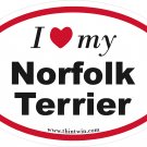 Norfolk Terrier Oval Car Sticker