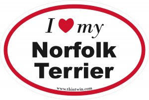 Norfolk Terrier Oval Car Sticker
