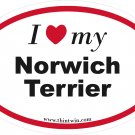 Norwich Terrier Oval Car Sticker