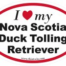 Nova Scotia Duck Tolling Retirever Oval Car Sticker