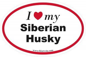Siberian Husky Oval Car Sticker