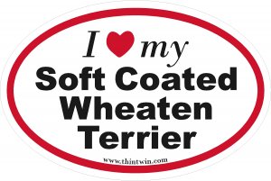 Softcoated Wheaton Terrier Oval Car Sticker