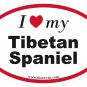 Tibetan Spaniel Oval Car Sticker