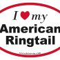 American Ringtail Oval Car Sticker