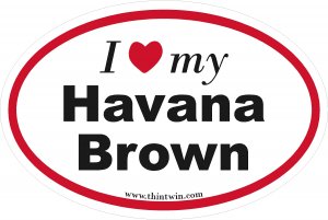 Havana Brown Oval Car Sticker