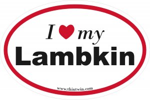 Lambkin Oval Car Sticker