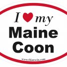 Maine Coon Oval Car Sticker