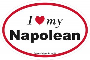 Napolean Oval Car Sticker