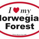 Norwegian Forest Oval Car Sticker