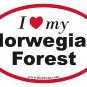 Norwegian Forest Oval Car Sticker