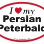 Persian Peterbald Oval Car Sticker