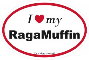 Ragamuffin Oval Car Sticker