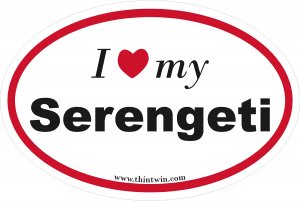 Serengeti Oval Car Sticker