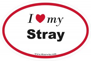 Stray Oval Car Sticker