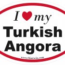 Turkish Angora Oval Car Sticker