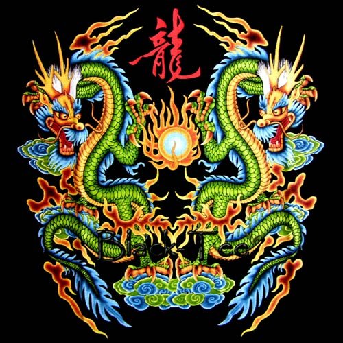 TWIN DRAGON BLACK TATTOO TEE T SHIRT Size L / D32