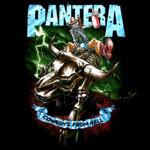 PANTERA COWBOYS HEAVY METAL TEE T SHIRT Size S / D80