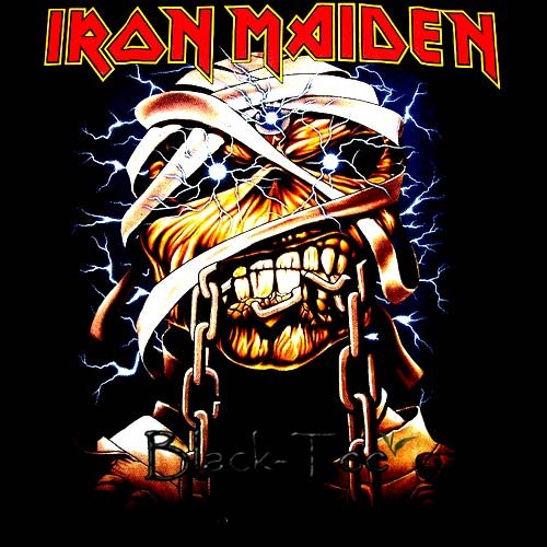 IRON MAIDEN HEAVY METAL TEE T SHIRT SIZE M / E28