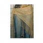 ONE SIZE PLUS - Lace Shawl w/ Fringe - BEIGE