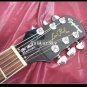 New Epiphone Standard Plus Vintage Sunburst Free Shipping
