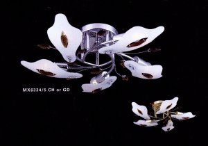 Ceiling lamp MX6334/5