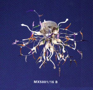 Ceiling lamp MX5001/16B