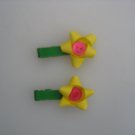 Flower Clips