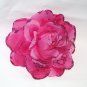 Rosy Fascinator T12 Burgundy