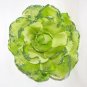 Rosy Fascinator T12 Green
