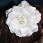 Diana Fascinator T15 White