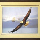 Hawks~Latin Wooden Frame Single-sided Embroidery
