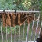 Crinkled Wrinkled Rustc Primitive Farmhouse Country Tie Up Valance