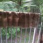 Natural Burlap Valance With Fringed Edges