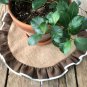 Round Natural Burlap/Dark Brown With White Muslin Piping Placemat/Centerpiece