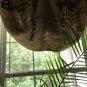 Upcycled Rustic/Primitive Coffee Beans Bag Waterfall Valance