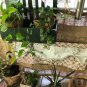 Non Adjustable Loop Up Valance/Curtain