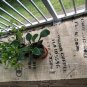 Upcycled Coffee Beans Bag Primitive Valance/Shade/ Table Runner/PrivacyCurtain